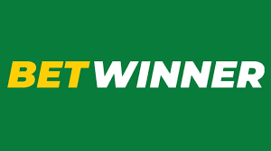 BetWinner Your Comprehensive Guide to Sports Betting